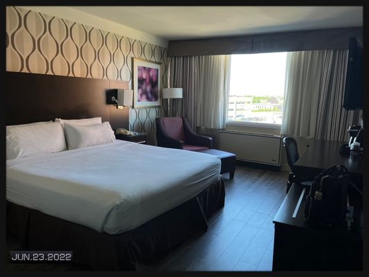 HOLIDAY INN TORONTO INTERNATIONAL AIRPORT - Updated December 2024 - 66 ...