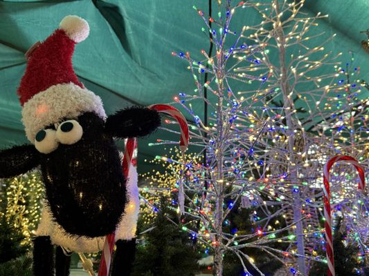 Homestead Gardens by null