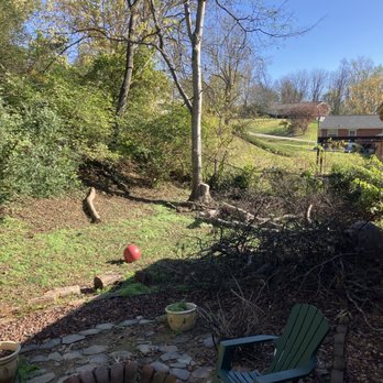 Tree Doctors - Tree Services Near Me - Nashville, Tennessee Tree Doctors - Tree Services Near Me - Nashville, Tennessee