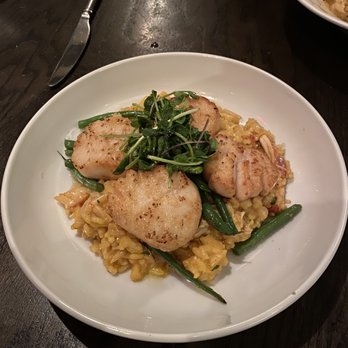 Sycamore - Scallops - Bars Near Me - Columbus, Ohio Sycamore - Scallops - Bars Near Me - Columbus, Ohio