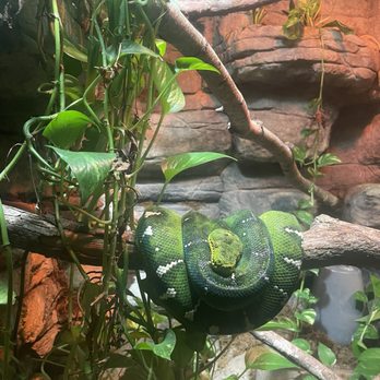 Caldwell Zoo - Zoos Near Me - Tyler, Texas Caldwell Zoo - Zoos Near Me - Tyler, Texas