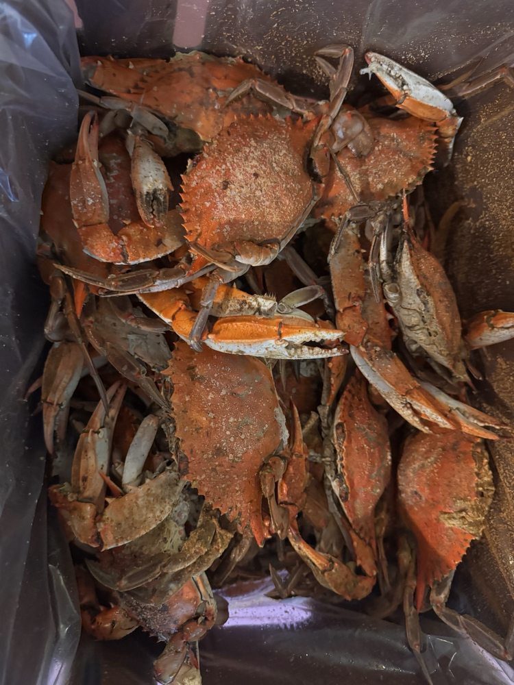 Patuxent Seafood Logo