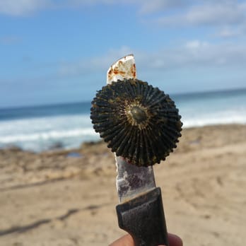 Kaena Point State Park - Beaches Near Me - Waianae, Hawaii
