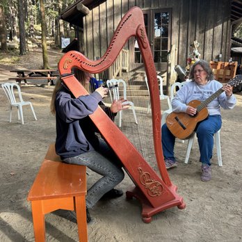 Lark Camp - Live music everywhere - Performing Arts Near Me