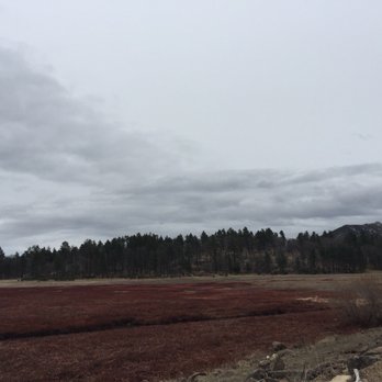 Lake Cuyamaca Lodge - Standing on the lake's breakwater en route to Fletcher Island. - Hotels Near Me - Julian, California