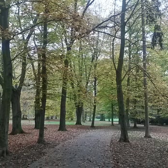 Královská obora Stromovka - autumn - Parks Near Me Královská obora Stromovka - autumn - Parks Near Me