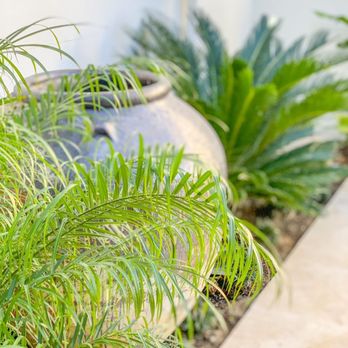 Greencraft Landscape - a plant in a garden - Landscape Architects or Designers Near Me