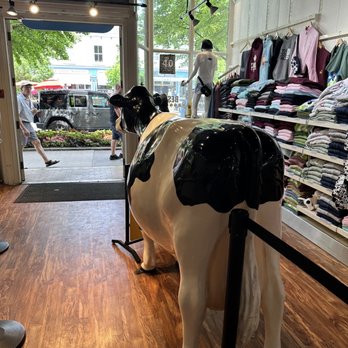 COWS - Ice Cream & Frozen Yogurt Near Me - Niagara On the Lake, Ontario COWS - Ice Cream & Frozen Yogurt Near Me - Niagara On the Lake, Ontario