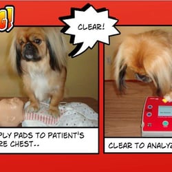 HeartStart Skills