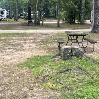 Gaylord KOA - very large stump right in the middle of our campsite, and lots of roots to trip over - Campgrounds Near Me - Gaylord, Michigan Gaylord KOA - very large stump right in the middle of our campsite, and lots of roots to trip over - Campgrounds Near Me - Gaylord, Michigan