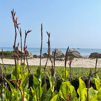 Padaro Beach Grill - American Near Me - Carpinteria, California Padaro Beach Grill - American Near Me - Carpinteria, California