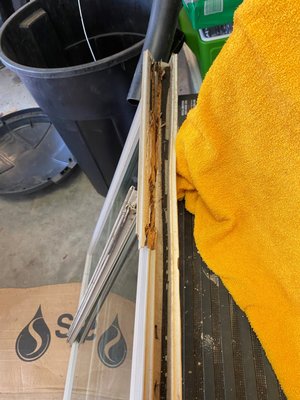 Andersen Windows by null