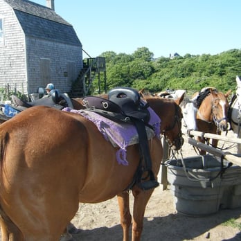 Rustic Rides Farms - Horseback Riding Near Me - Block Island, Rhode Island