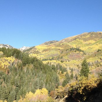 Equine Pavilion - Property Views - Horseback Riding Near Me - Heber City, Utah