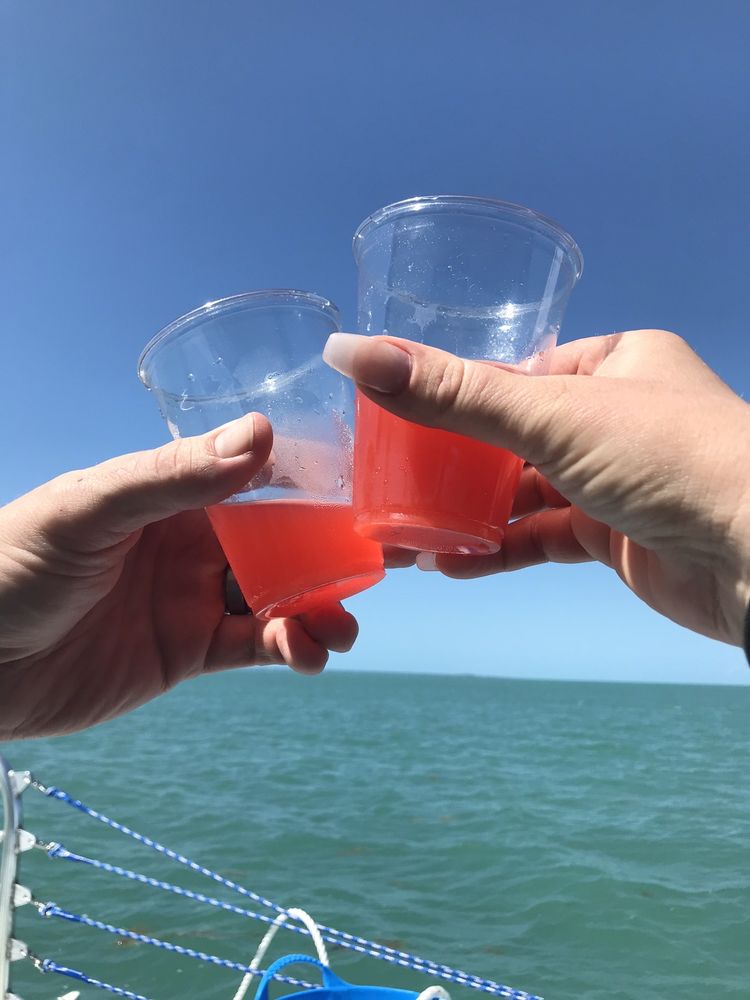 CAPTAIN PIP’S BOAT RENTAL KEY COLONY BEACH CLOSED 589 6th St, Key