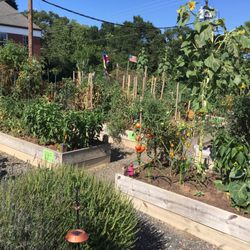 Mount Holly Community Garden