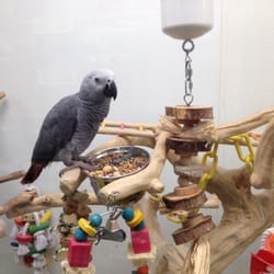 Petland Discounts