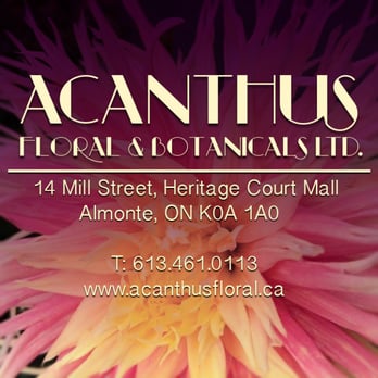 Acanthus Floral & Botanical LTD - Florists Near Me - Almonte, Ontario Acanthus Floral & Botanical LTD - Florists Near Me - Almonte, Ontario