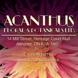 Acanthus Floral & Botanical LTD