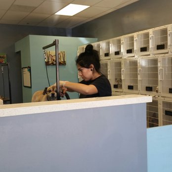 The Pet Parlor Mobile - Groomers hard at work - Pet Groomers Near Me The Pet Parlor Mobile - Groomers hard at work - Pet Groomers Near Me