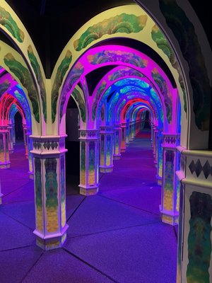 Magowan's Infinite Mirror Maze by null