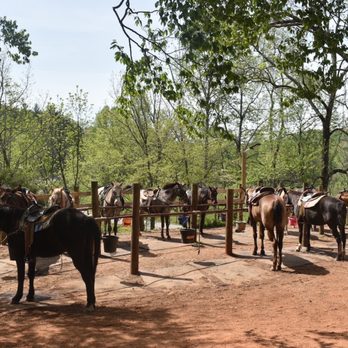Cowgirl Up Stables - Horseback Riding Near Me - Cherry Log, Georgia
