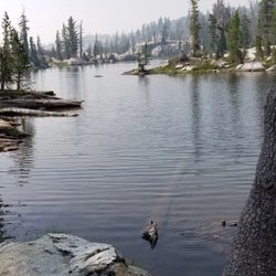 Sierra Scuba