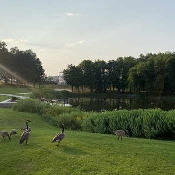 Hilde Performance Center - Geese and lake - Parks Near Me - Minneapolis, Minnesota Hilde Performance Center - Geese and lake - Parks Near Me - Minneapolis, Minnesota