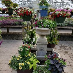 Windswept Gardens - Nursery garden center plants for sale