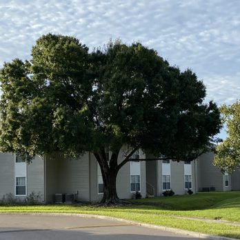 Citrus Meadows Apartments - Apartments Near Me - Bradenton, Florida Citrus Meadows Apartments - Apartments Near Me - Bradenton, Florida