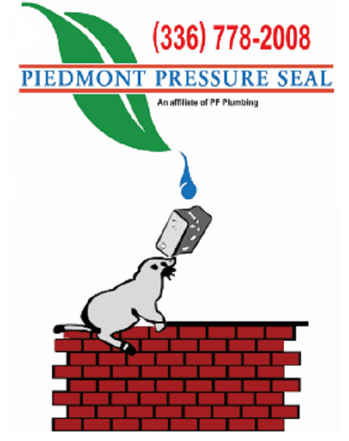 Slide of Piedmont Pressure Seal