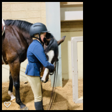 The Stables at Ironhorse - equestrian in Sperry, OK