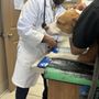 Photo of Love N Care Animal Hospital