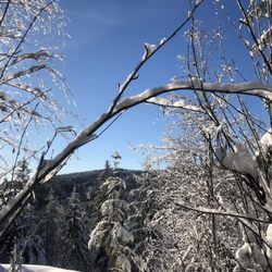 Vettakolltoppen