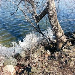 Turville Point Conservation Park - Last Bits Of Ice On The Water