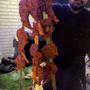 Photo of Favorite Indian Restaurant