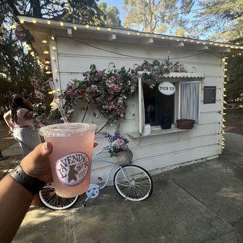 Lavender Festival - Festivals Near Me - Cherry Valley, California Lavender Festival - Festivals Near Me - Cherry Valley, California