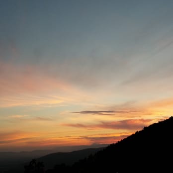 Il Vecciolino - Italian Near Me - Sesto Fiorentino, AG Il Vecciolino - Italian Near Me - Sesto Fiorentino, AG