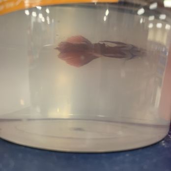 Petco - Pet Stores Near Me - Albuquerque, New Mexico