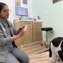 Photo of Revive Veterinary Care