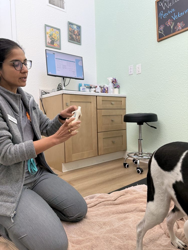 Revive Veterinary Care