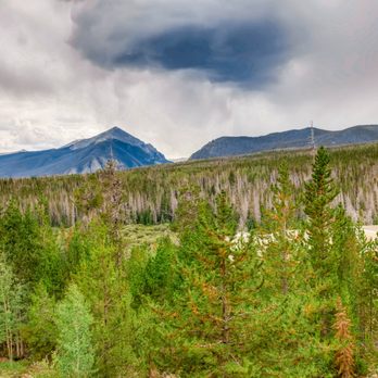 Nelson Walley Real Estate - Real Estate Agents Near Me - Silverthorne, Colorado Nelson Walley Real Estate - Real Estate Agents Near Me - Silverthorne, Colorado
