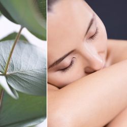 Wollaston Beauty Clinic