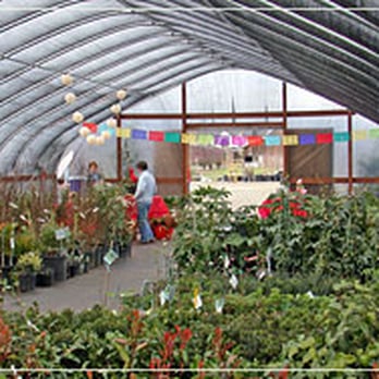 Shooting Star Nursery - Our greenhouse - Nurseries & Gardening Near Me - Central Point, Oregon