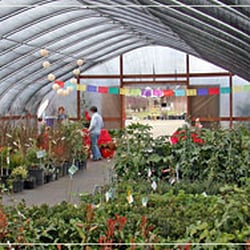 Shooting Star Nursery - Our greenhouse