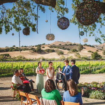 Zaca Mesa Winery - Beautiful wine-country backdrop for our wedding (tree lighting and baubles rented with Bella Vista Designs!) - Wineries Near Me - Los Olivos, California