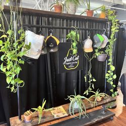 Just Cut Organic Juice Bar & Fitness - Inside