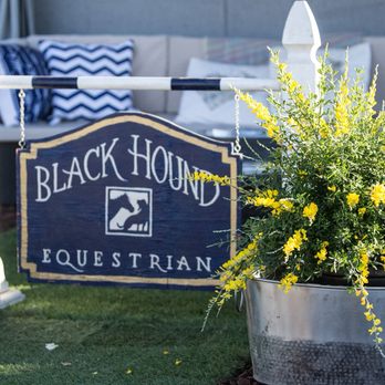 Blackhound Equestrian - Horseback Riding Near Me - Castro Valley, California