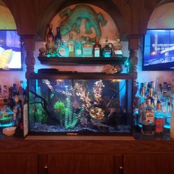 La Cina - Happy fish tank!!!