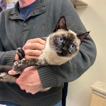 ASAP Animal Shelter Assistance Program - Animal Shelters Near Me - Santa Barbara, California ASAP Animal Shelter Assistance Program - Animal Shelters Near Me - Santa Barbara, California